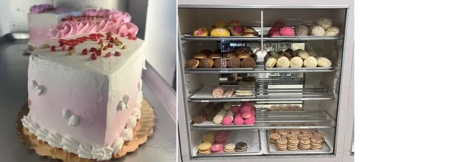 A display case with conchas and assorted pan dulce at La Mexicana Bakery